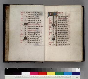 Book of Hours, use of Paris : [manuscript]