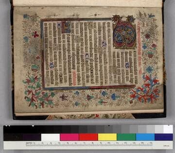 Book of Hours, fragment : [manuscript]