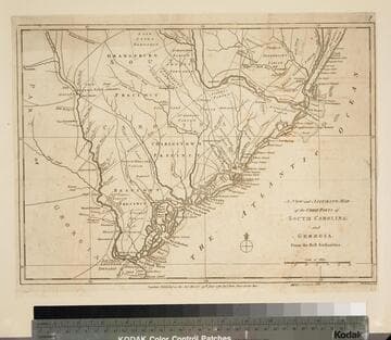 New and Accurate Map of the Chief Parts of South Carolina, and Georgia, From the Best Authorities