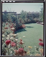 Go to image 2.