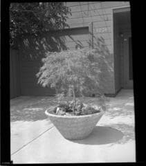 Go to image 10.