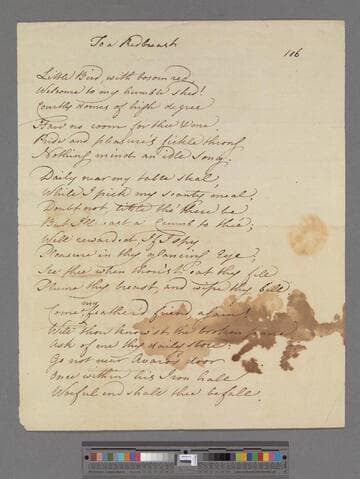 [Unknown author]. To a Redbreast: [a poem]
