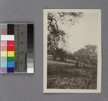 Grace Burke Hubble standing in the site of their future home in San Marino, California