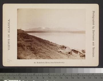 28. Kuskokvin River, from Kolmakovsky