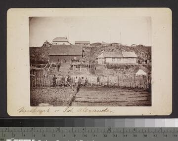 Nushagak or Ft.  Alexander