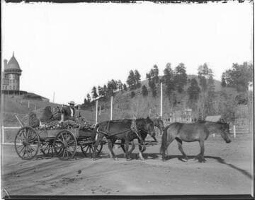 Las Vegas Hot Springs