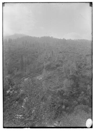 Looking up penstock ridge from west bank of SJR