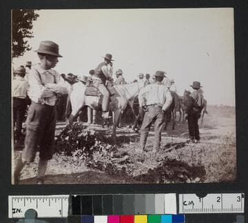 Boys and men with horses