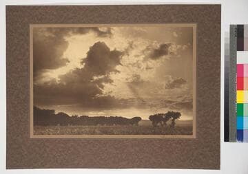 Cloud Study. Cloud sunset over great cottonwood grove at mouth of Canyon de Chelly, Arizona
