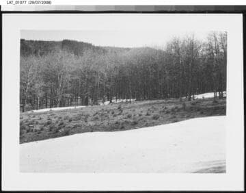 "No. 2 Point B" at Vermejo Ranch