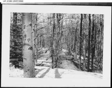 "No. 4 along line A - B" at Vermejo Ranch