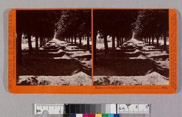 Ready for irrigation, Sunny Slope, San Gabriel, Los Angeles Co., Cal