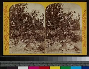 Waiting for the Kettle to Boil