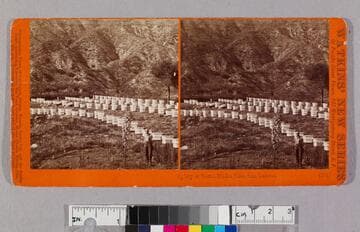 Apiary at Sierra Madre Villa, San Gabriel