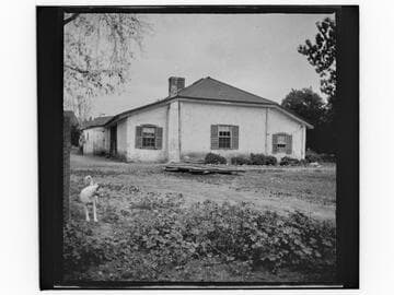 Unidentified house with a dog in yard
