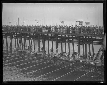 Swimming competition next to Santa Monica Pier