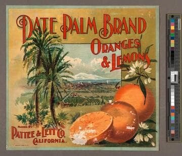 Date palm brand
