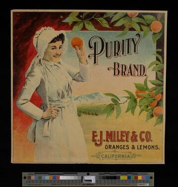 Purity Brand