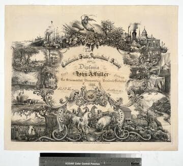 The California State Agricultural Society award this diploma to