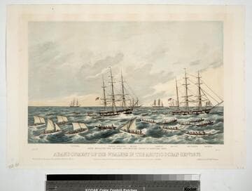 Abandonment of the whalers in the Arctic Ocean Sept. 1871. Pl. 5