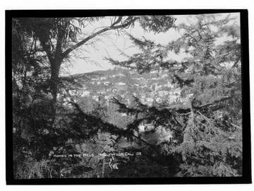 Homes in the hills, Hollywood, Cal