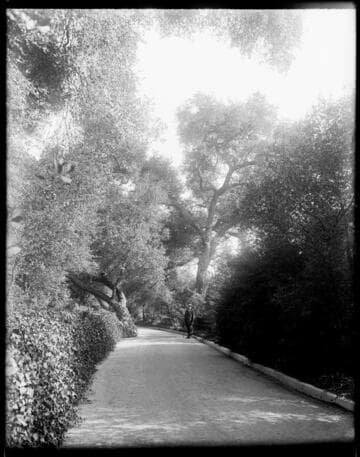 Henry E. Huntington on the road through the Japanese garden