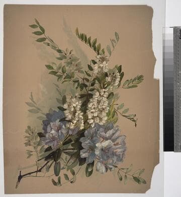 [Purple and white flowers on branch]