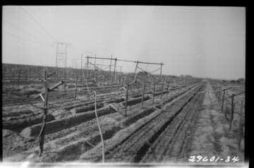 Magunden-Mesa Transmission Line