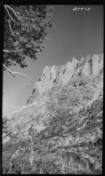 Upper Bear Creek