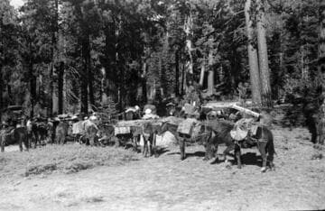 Big Creek, Fish Valley