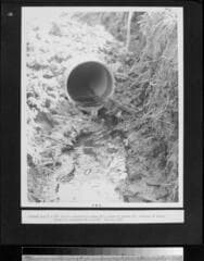 Go to image 7.