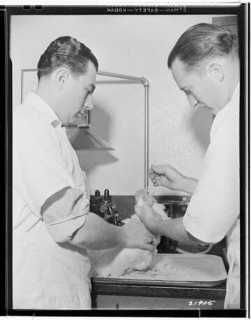 Poultry Book - Pathalogical Lab