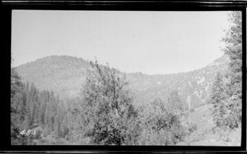 Mountains with trees