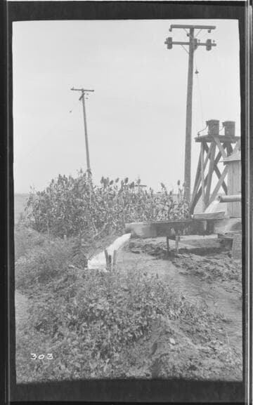 A pumping plant near Lindsay