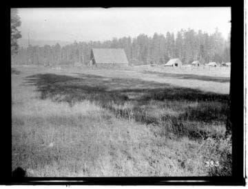 Cabins at the edge of a grassy meadow