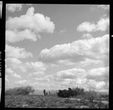 Bishop & Hoover tower line