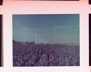 Go to image 2.