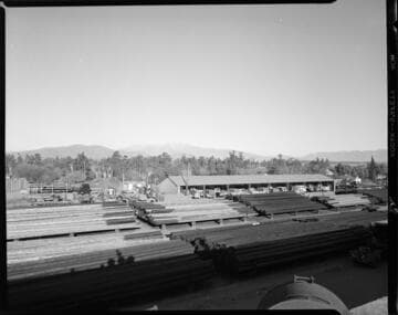 Cal Electric Power Corp