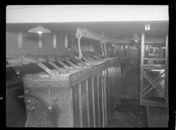 Imperial Ice Plant interior