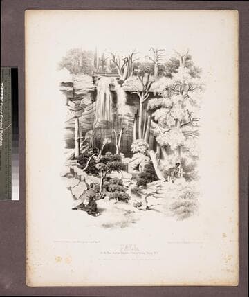 Fall, : on the road between Tompkin's Farm & Gauley Bridge W.V