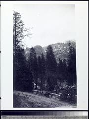 Go to image 15.