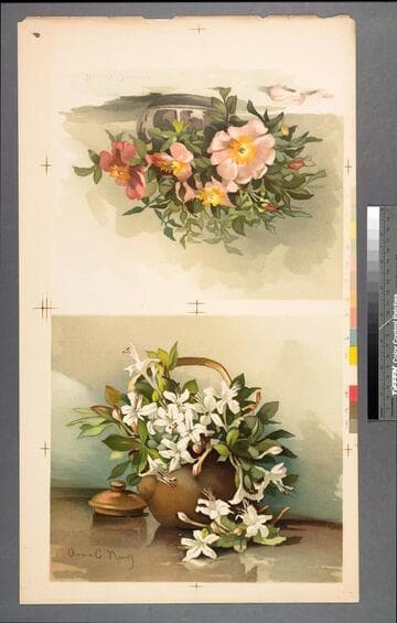 [Wild azaleas] ; [Wild roses no. 3]