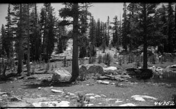 Big Creek Scenery - Jo Crane Lake