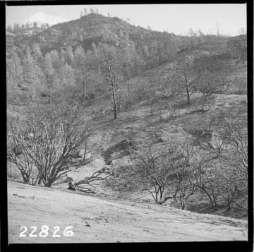 Big Creek Powerhouse #8