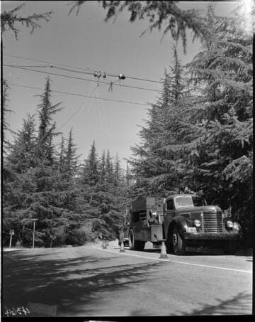 Line truck in forest
