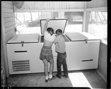 Kids peeking into horizontal deep freeze