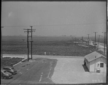 Electrical Industrial - Lima Beans - Huntington Beach - fields