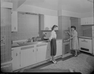 Domestic, electric kitchen