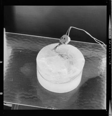 Medallion Home interiors