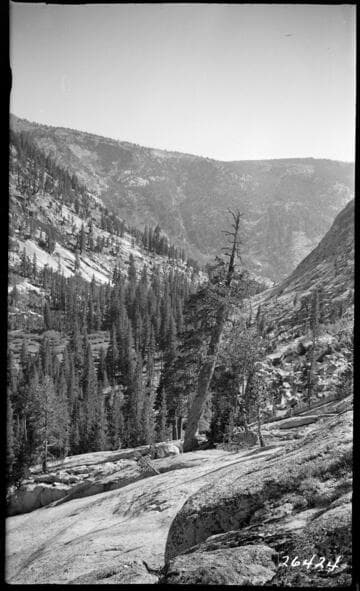 Fish Valley - Looking South across meadow